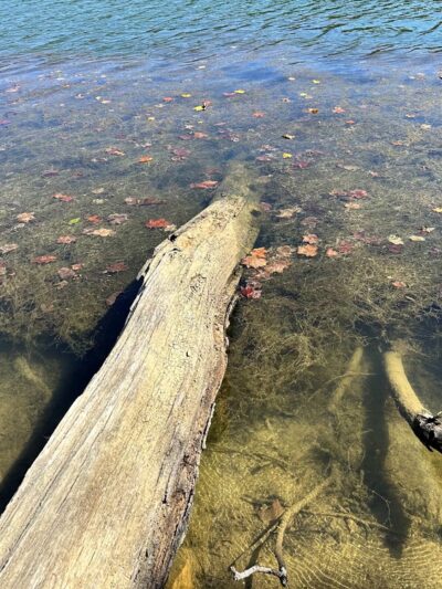 Loch Raven Trails Providence Rd. - Towson, MD