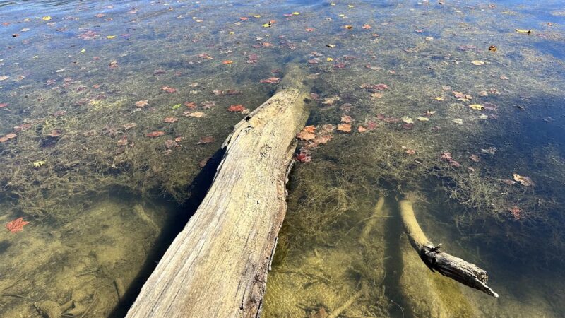 Loch Raven Trails Providence Rd. - Towson, MD
