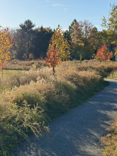 Radebaugh Park - Towson, MD