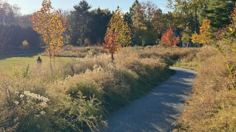 Radebaugh Park - Towson, MD