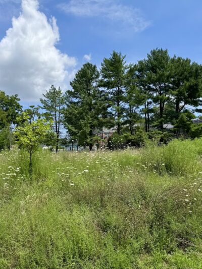 Radebaugh Park - Towson, MD