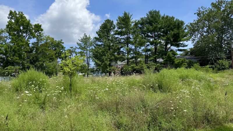 Radebaugh Park - Towson, MD