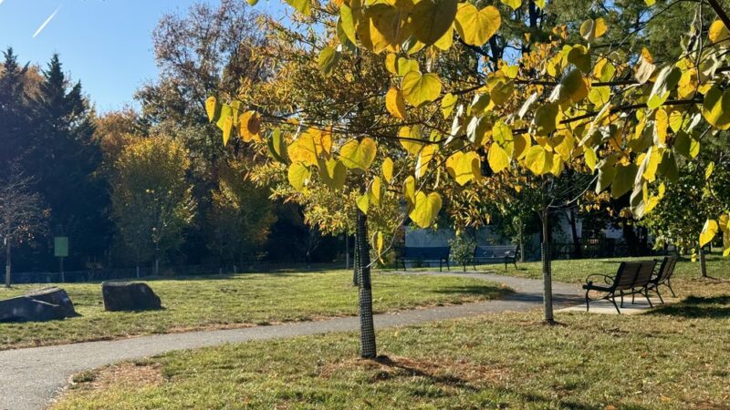 Radebaugh Park - Towson, MD