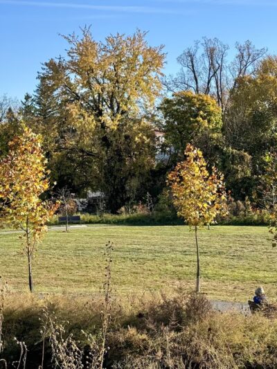 Radebaugh Park - Towson, MD