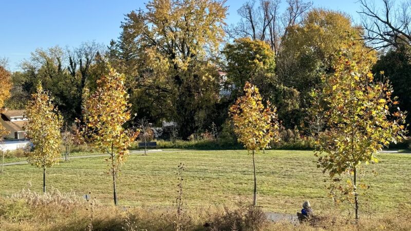 Radebaugh Park - Towson, MD