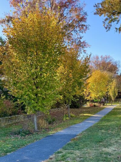 Radebaugh Park - Towson, MD