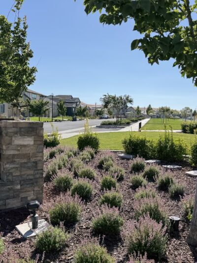 Richard Hastie Park - Tracy, CA