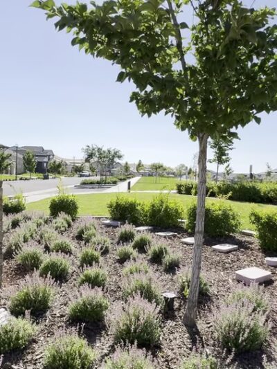 Richard Hastie Park - Tracy, CA