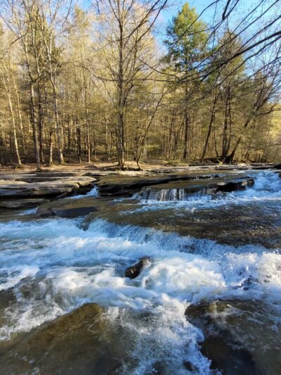 Coalmont OHV Park - Tracy City, TN