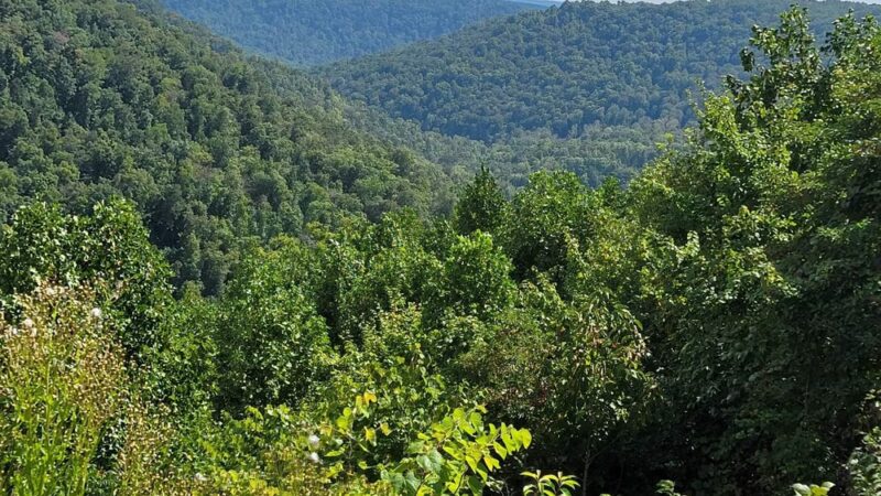 Coalmont OHV Park - Tracy City, TN