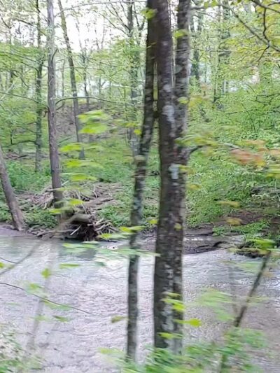 Westmoreland Heritage Trail, Turtle Creek - Trafford, PA