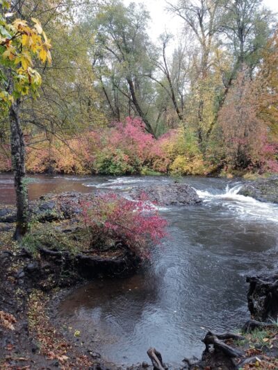 Joseph Stewart County Park - Trail, OR