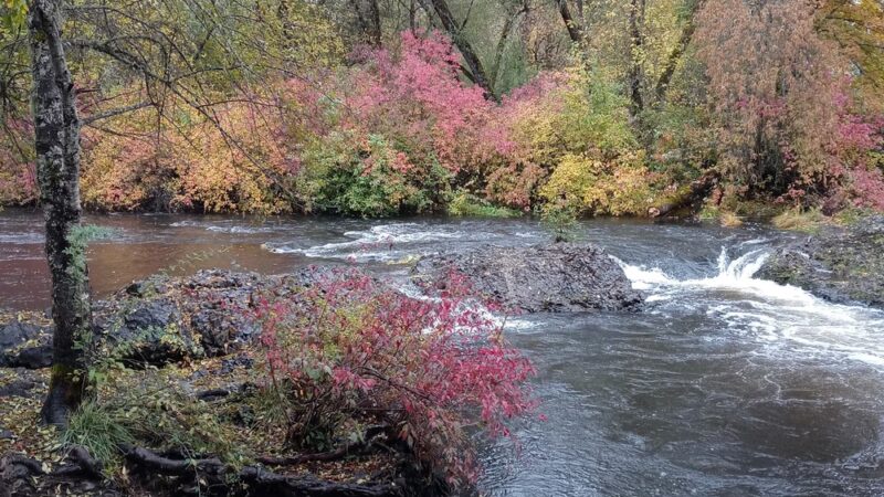 Joseph Stewart County Park - Trail, OR