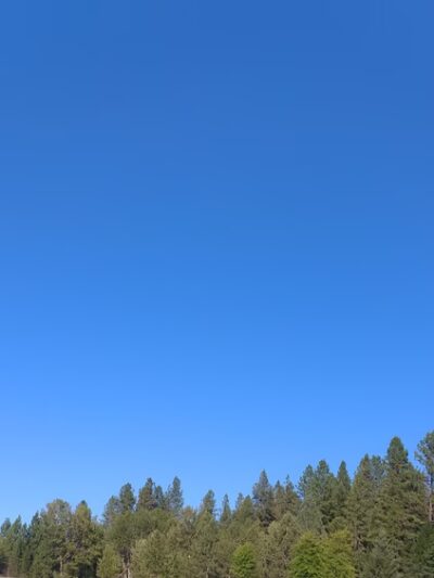 Lost Creek Marina - Trail, OR