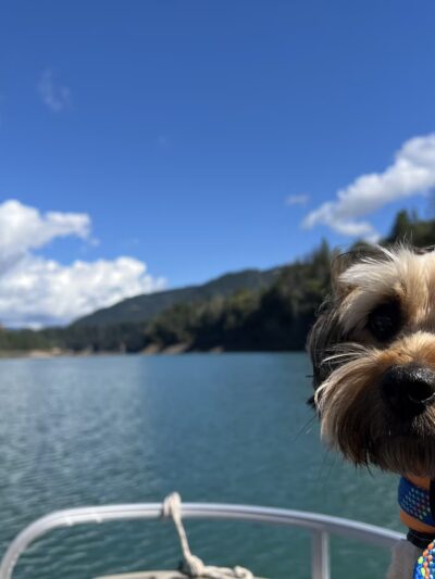 Lost Creek Marina - Trail, OR