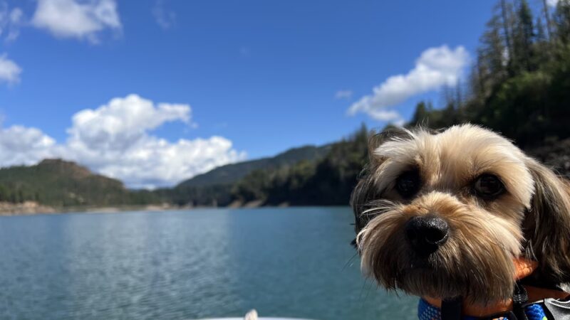 Lost Creek Marina - Trail, OR