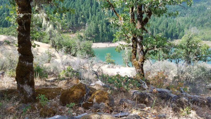Lost Creek Trailhead - Trail, OR