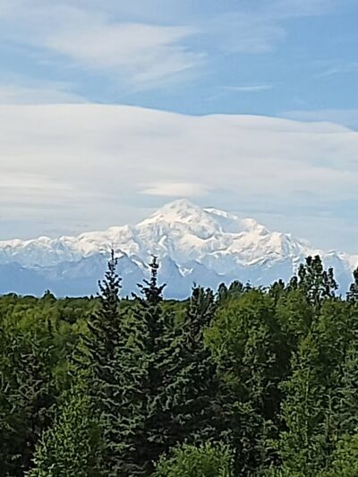 Trapper Creek Inn & RV Park - Trapper Creek, AK