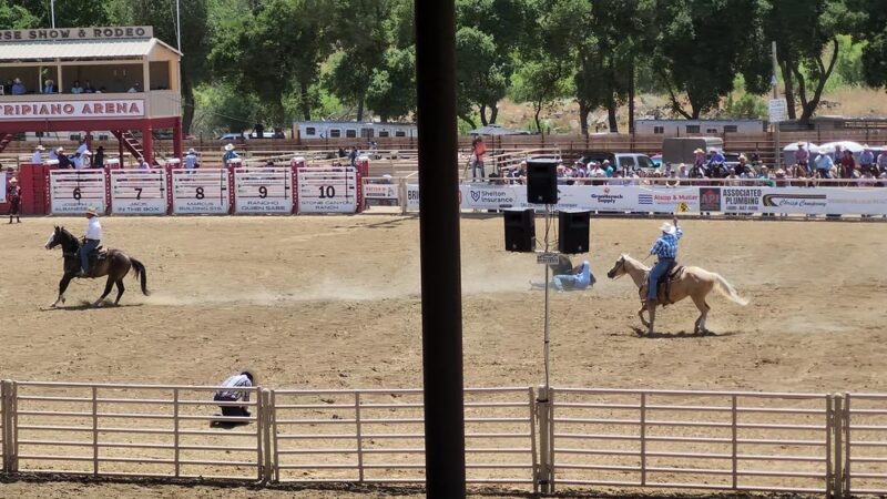Bolado Park - Tres Pinos, CA