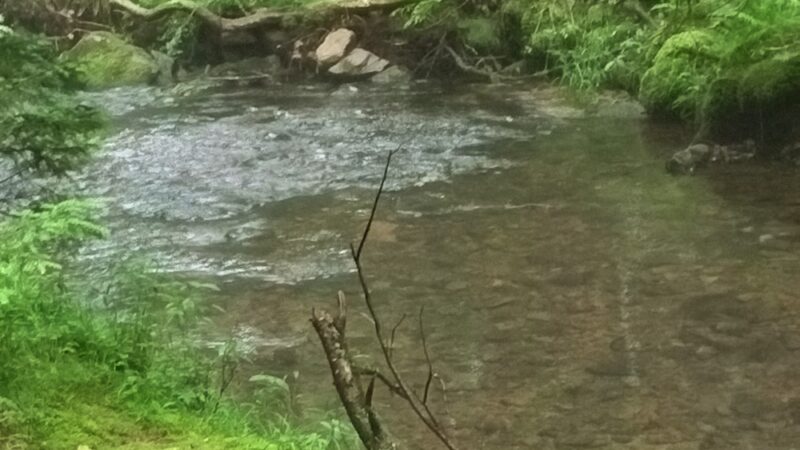 Tresckow Playground - Tresckow, PA
