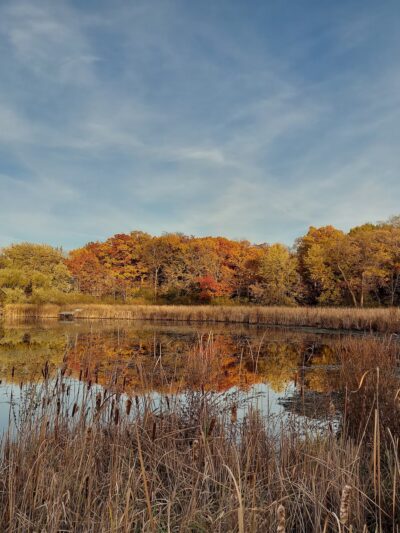 Runyard Wilson Park - Trevor, WI