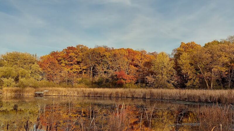 Runyard Wilson Park - Trevor, WI