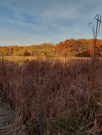Runyard Wilson Park - Trevor, WI