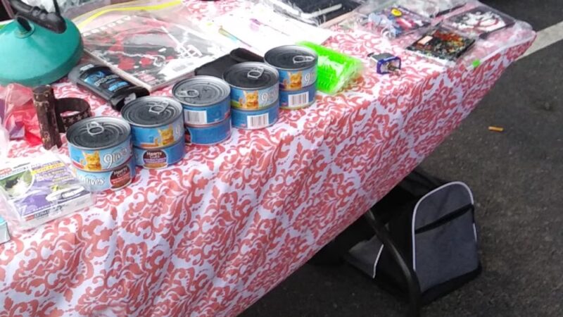 Philadelphia Flea Market - Trevose, PA