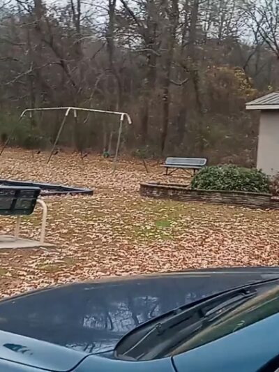 Kimbrell Park - Trinity, AL