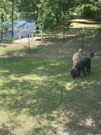 The Dog Ranch - Trinity, TX