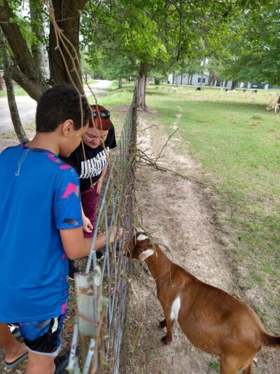 The Dog Ranch - Trinity, TX