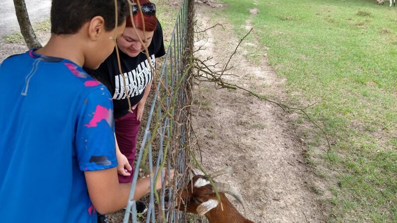 The Dog Ranch - Trinity, TX
