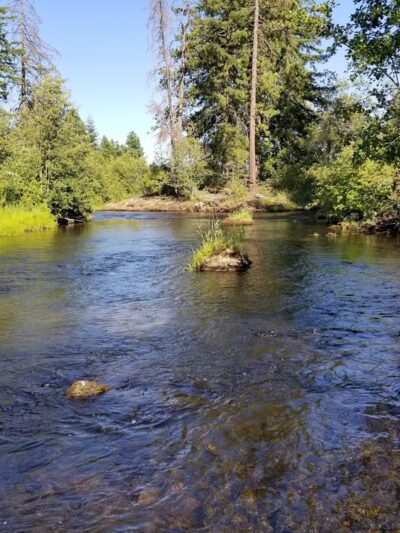 Hollenbeck Park - Trout Lake, WA
