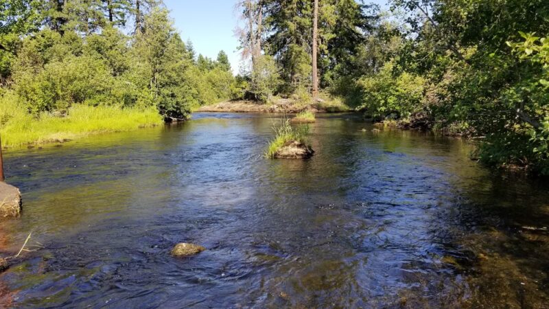 Hollenbeck Park - Trout Lake, WA