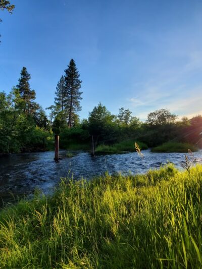 Hollenbeck Park - Trout Lake, WA