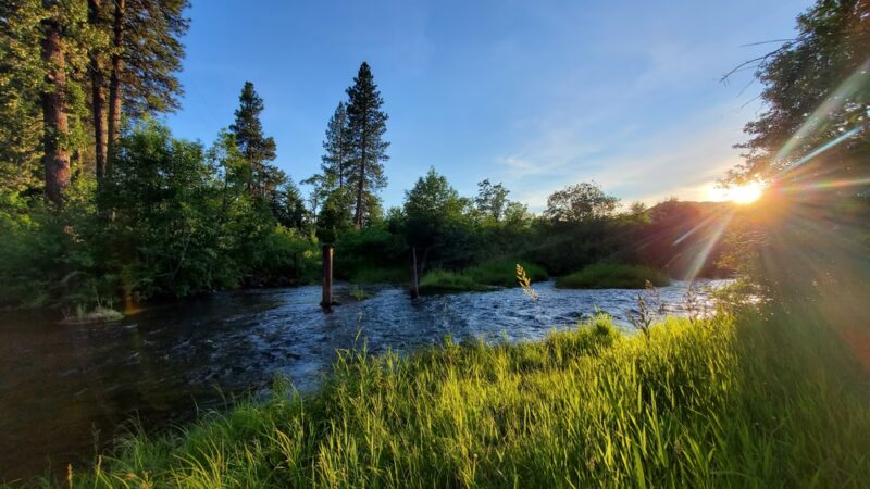 Hollenbeck Park - Trout Lake, WA