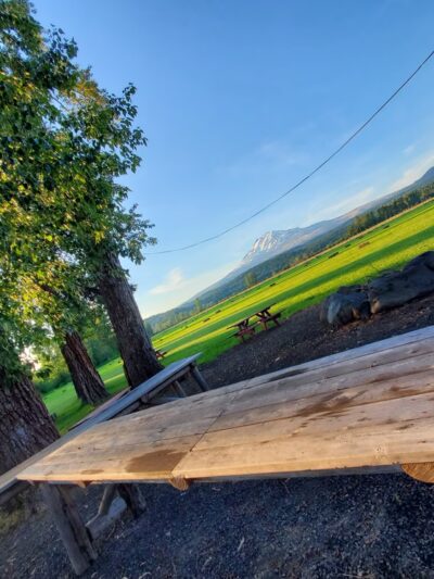 Hollenbeck Park - Trout Lake, WA