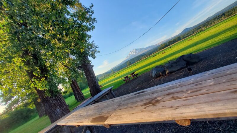 Hollenbeck Park - Trout Lake, WA