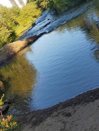Hollenbeck Park - Trout Lake, WA