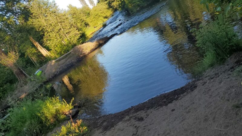 Hollenbeck Park - Trout Lake, WA