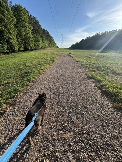 Morrison Farm Park - Troutman, NC