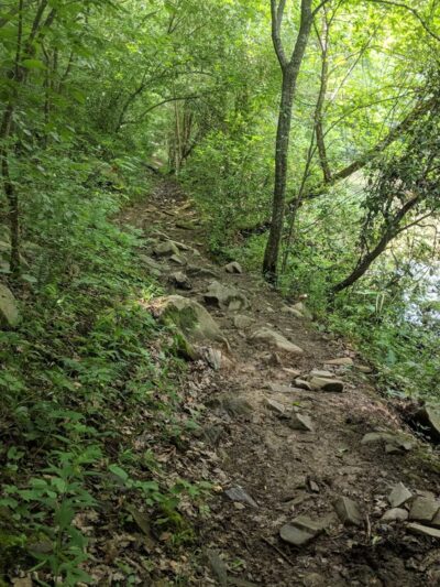 Gold Mine Branch Trail - Troy, NC