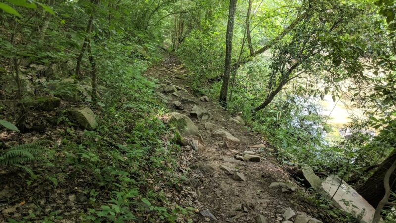 Gold Mine Branch Trail - Troy, NC
