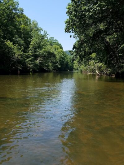 Gold Mine Branch Trail - Troy, NC