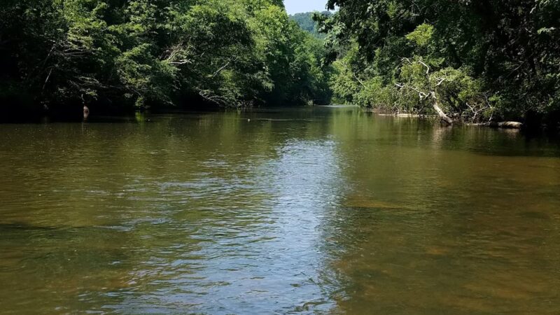 Gold Mine Branch Trail - Troy, NC