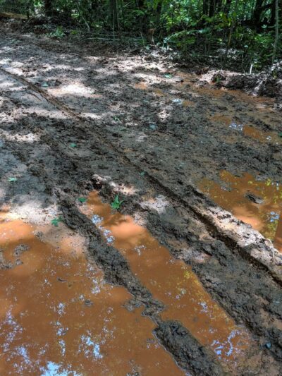 Gold Mine Branch Trail - Troy, NC