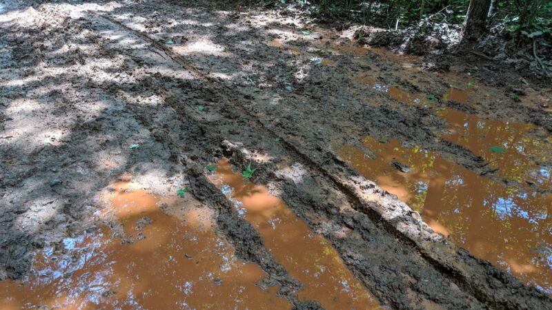 Gold Mine Branch Trail - Troy, NC