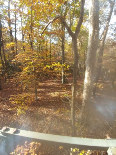 Lowe Warner Park - Troy, NC
