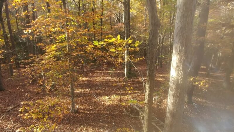 Lowe Warner Park - Troy, NC