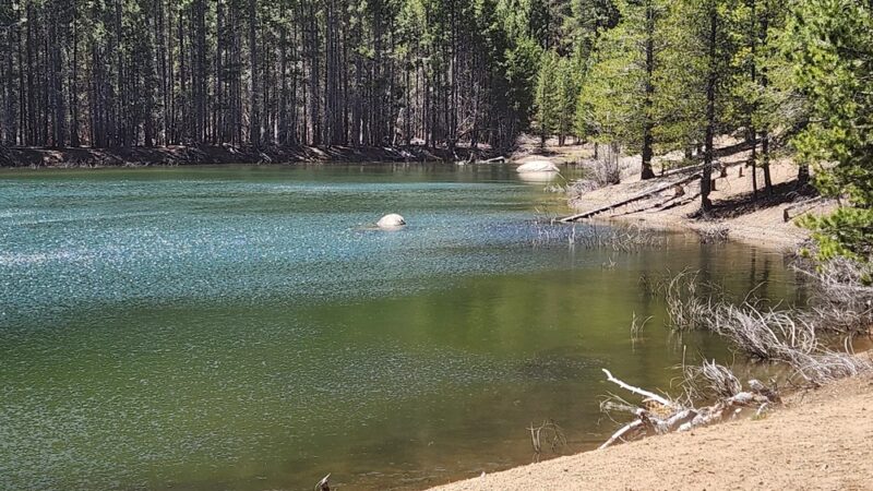 Coldstream Trailhead - Truckee, CA